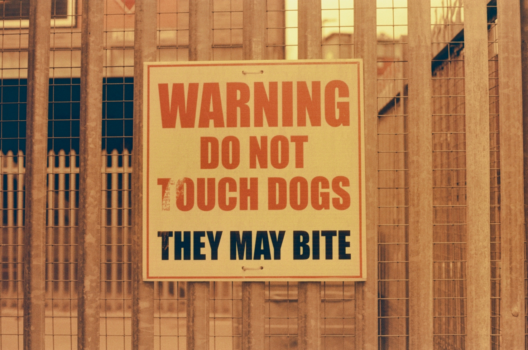 dogs